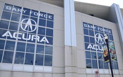 Window Graphic Considerations